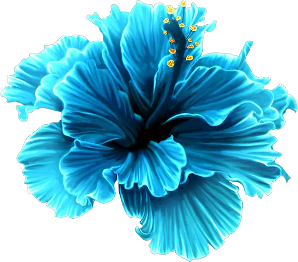 Blue Hibiscus Flower Png U0026 Free Flowerpng Blue Tropical Flower Clipart Hibiscus Flower Png
