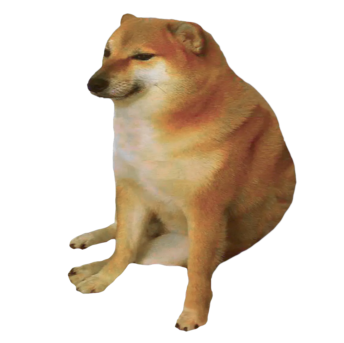 Dog Cat Png