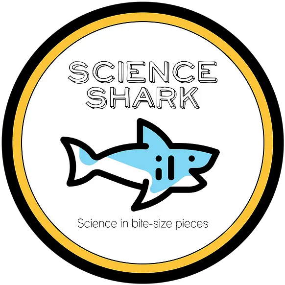 Blog Home Accueil Fish Png Shark Logo Png