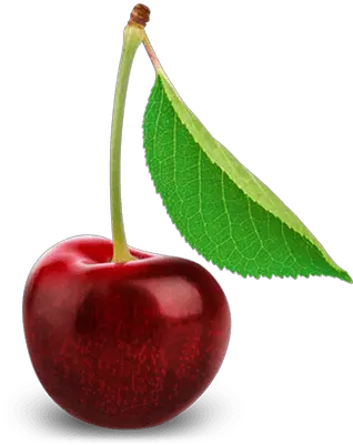 Cherries Pile Transparent Png Stickpng Real Cherry Png Cherries Png