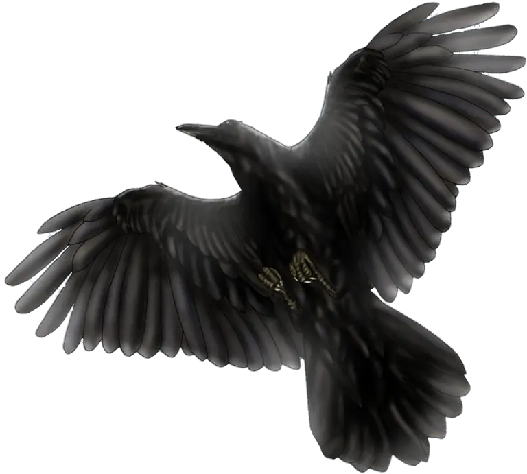 Common Raven Png Transparent Image Mart Transparent Black Bird Png Crow Transparent