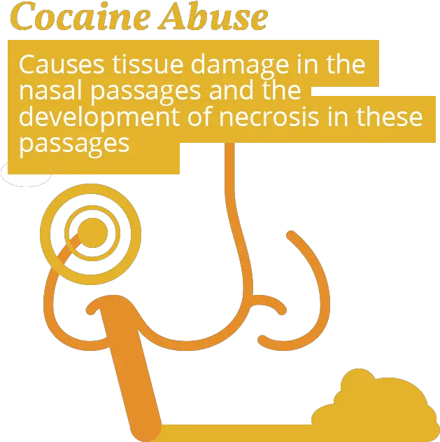 Nasal Passage Of Cocaine Addict Calligraphy Png Cocaine Png