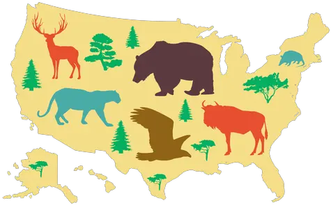 Transparent Png Svg Vector File Us Prior To Brown Map Usa Map Png