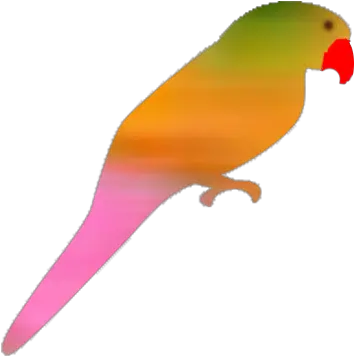 Holi Parakeet Png Parrot Png