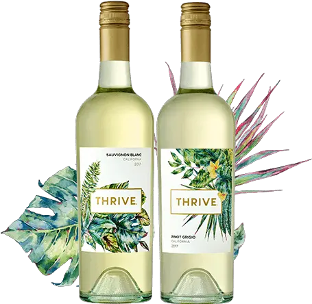 Home Thrive Wines Glass Bottle Png Wine Png