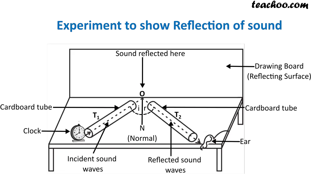 Reflection Of Sound Laws Experiment Practical Uses Teachoo Reflection Of Sound Experiment Teecho Png Sound Waves Png