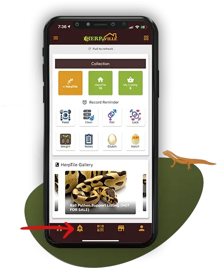 Manage Your Reptile Profile Easily With The Herpville App Smartphone Png Add Record Icon