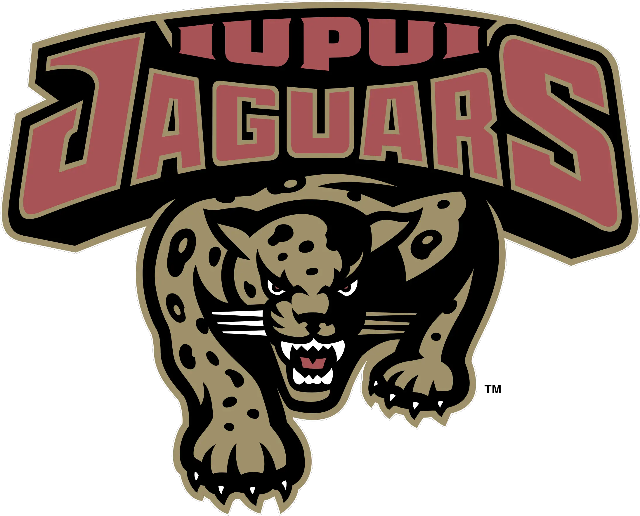 Iupui Jaguars Logo Png Transparent Holmes County Central High School Logo Jaguars Logo Png