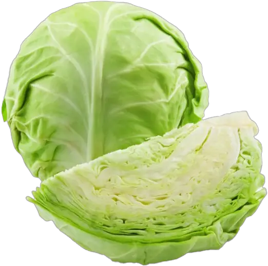 Cabbage Png Photos Green Cabbage Cabbage Transparent Background