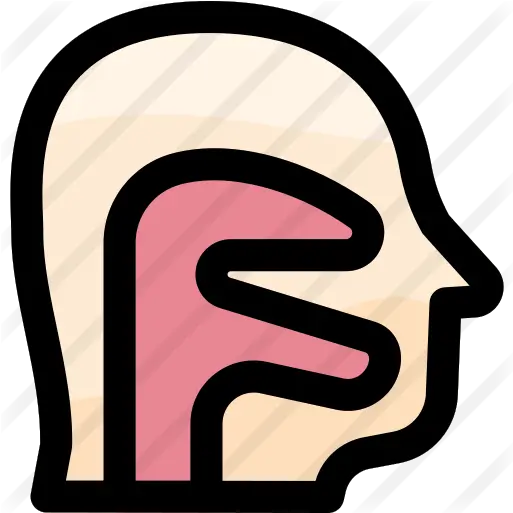 Pharynx Faringe Icono Png Ent Icon