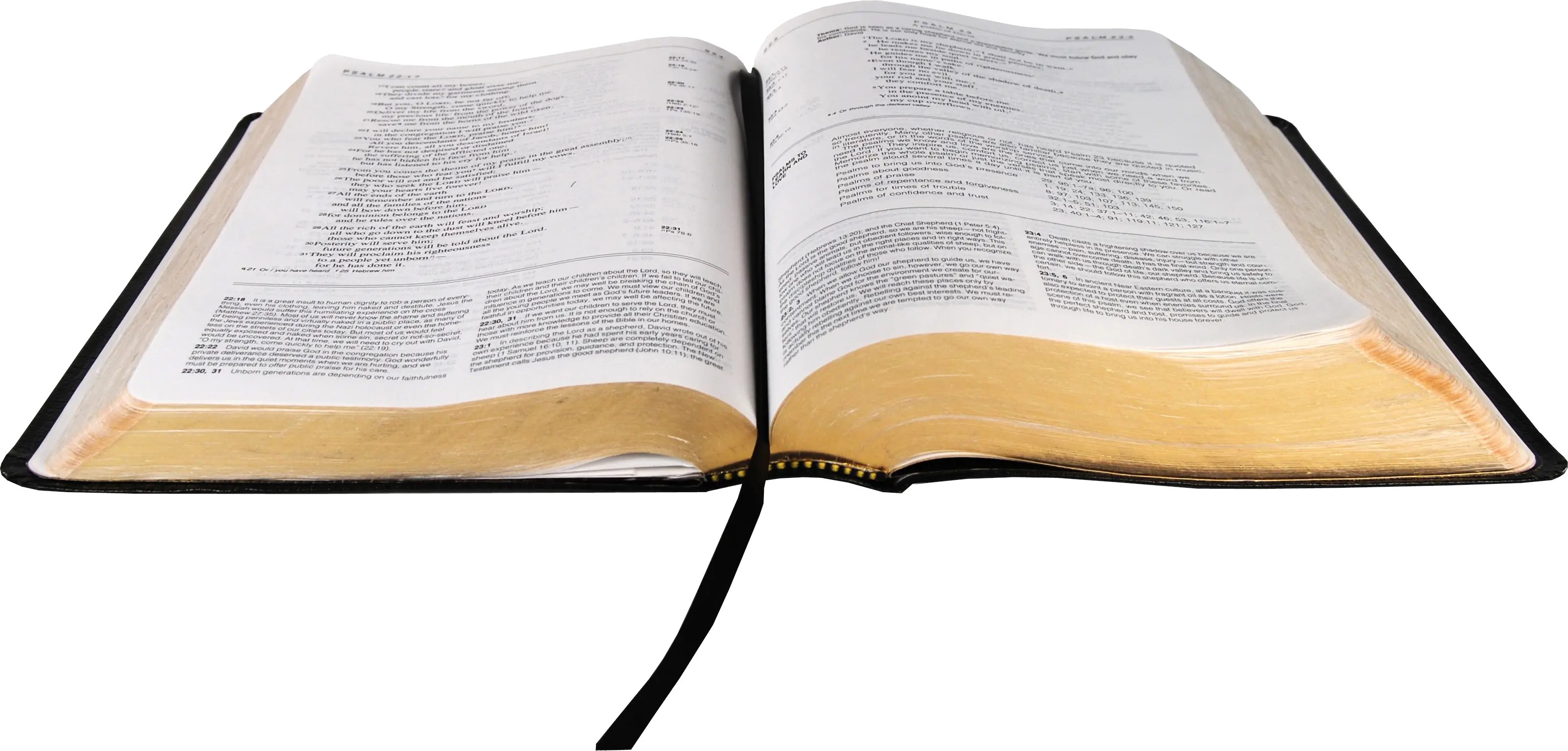 Bible Book Clipart Royalty Free Png
