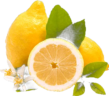Limones Png Rangpur Limon Png