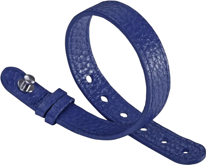 Blue Leather Strap For Steel Icon Model 10scblst Philip Stein Png Leather Icon