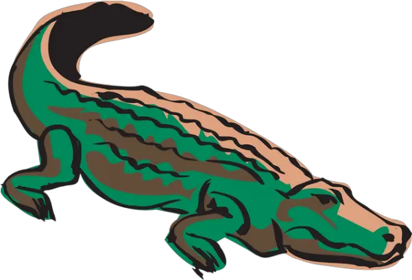 Crocodile Alligator Reptile Transparent Png Images U2013 Free Caiman Png Alligator Transparent