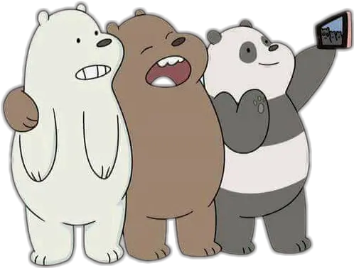 Oso Pardo Y Polar Transparent Png Oso Polar Y Panda Oso Png