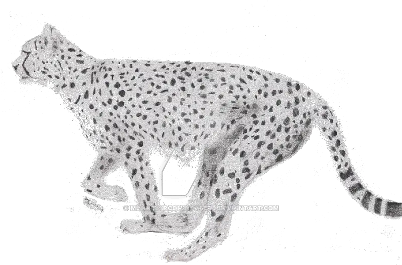 Running Cheetah Png Image With Transparent Background Arts Jaguar Cheetah Png