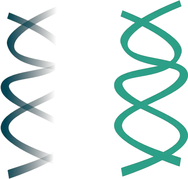 Library Of Dna And Rna Png Transparent Stock Files Dna And Rna Clipart Transparent Dna Transparent Background