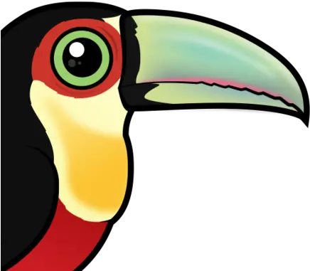 Colorful Red Breasted Toucan Aka Greenbilled Toucan Toco Toucan Png Toucan Png