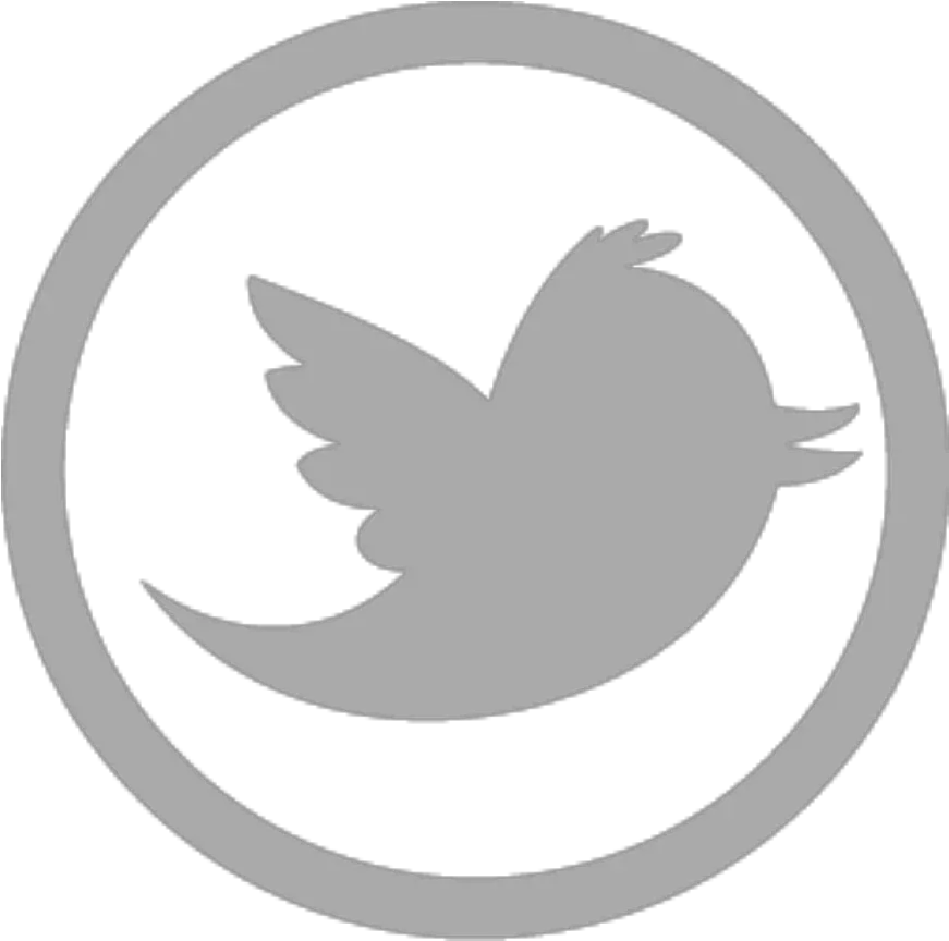 Twitter Icon Software Technologies Limited Png Daniel Icon