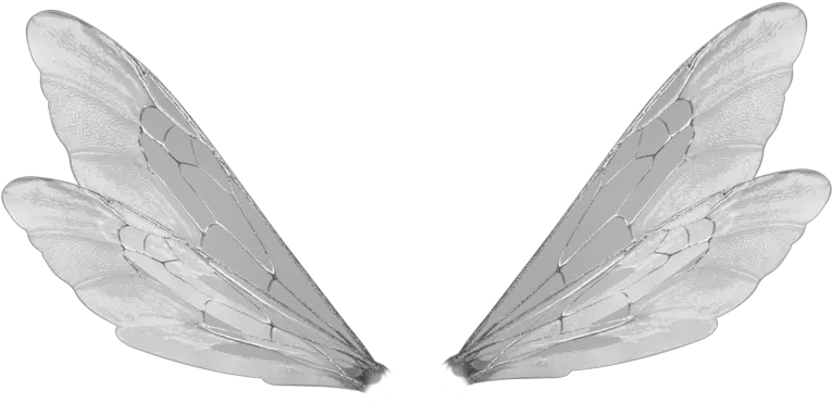 Transparent Shared Transparent Fairy Wings Png Wings Transparent
