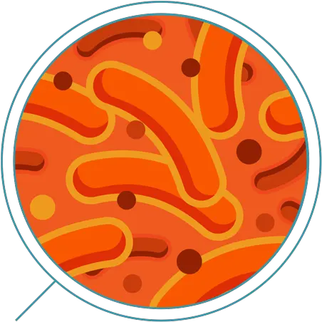 Download Hd Iron Orange Bacteria Png Bacteria Png