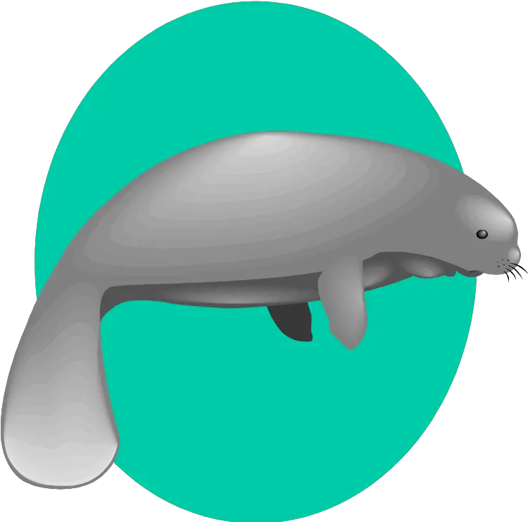 Free Manatee Clipart Fancy Sea Cow Png Manatee Png