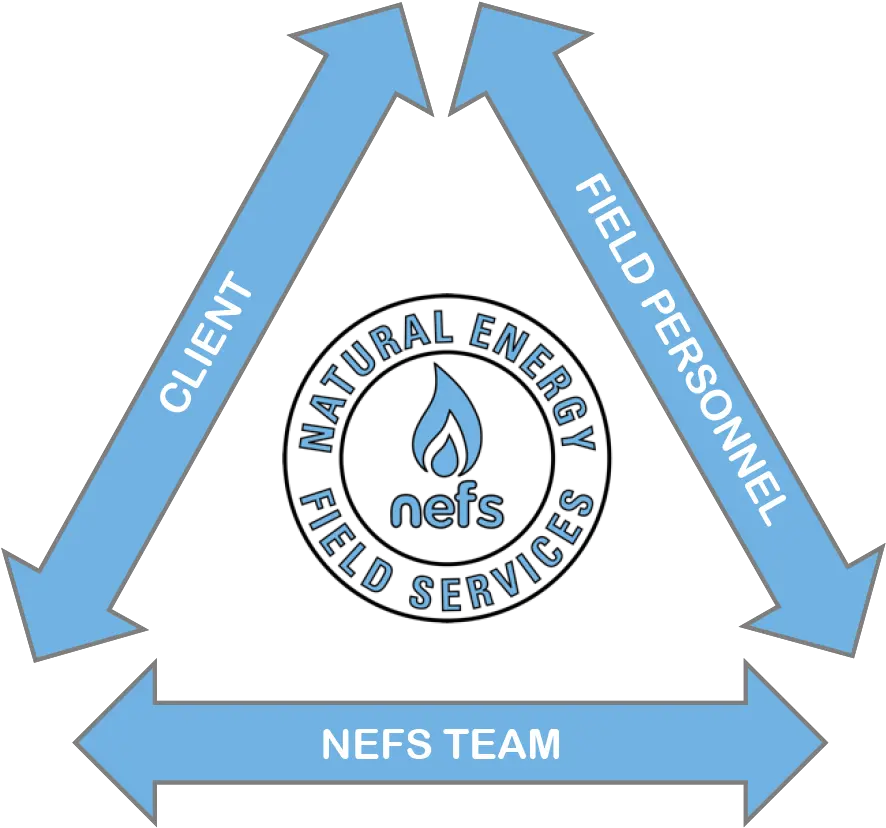 Natural Energy Field Services Inspection And Surveying Language Png Cia Icon