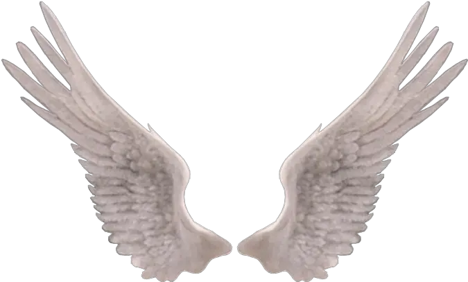 Angel Wings Png Edit Photography Ailes D Ange Png Wings Png