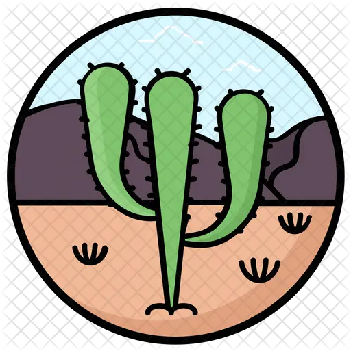 Desert Succulent Icon Clip Art Png Succulent Png