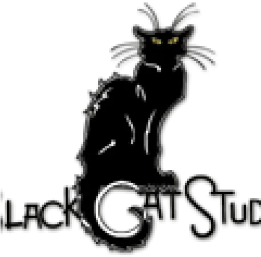 Services U2013 Black Cat Studio Black Cat Png Black Cat Logo