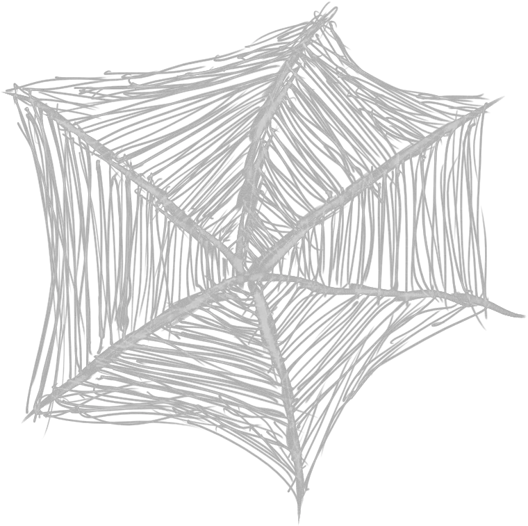 Spider Web Png Transparent Background Sketch Spider Web Png