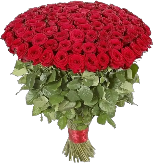Red Roses Birthday Bouquet Png Image 100 Röda Rosor Bouquet Png