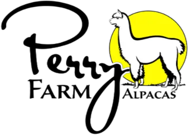 National Alpaca Farm Day To Be Celebrated This Weekend Language Png Alpaca Png