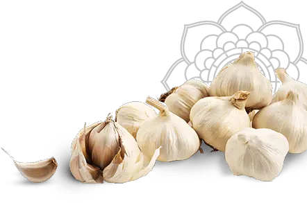 Garlic Png Transparent Image Svg Garlic Cloves Transparent Background Garlic Png