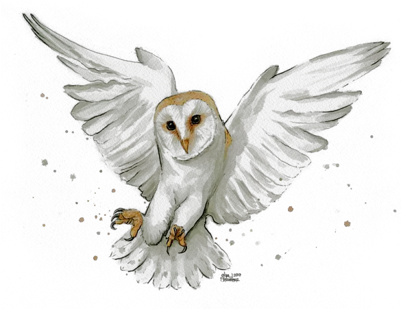 Barn Owl Flying Watercolor Onesie For Barn Owl Watercolor Png Barn Owl Png