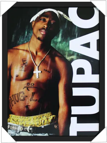 509 Tupac Tupac Shakur Thug Life Png Tupac Transparent