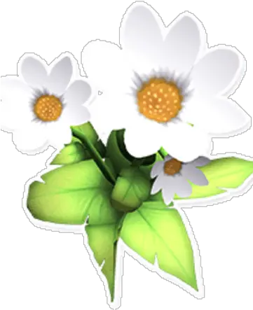 Daisy Sacred Lotus Png Daisy Png