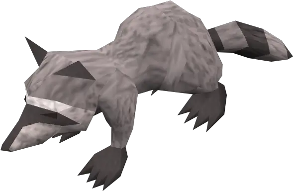 Raccoon The Runescape Wiki Runescape Raccoon Png Raccoon Png