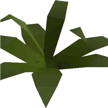 Fern Small Plant Old School Runescape Wiki Fandom Language Png Fern Icon