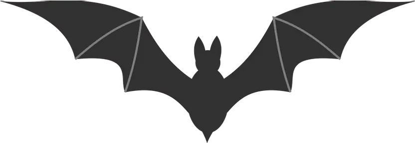 Bat Png Images Bat Clipart No Background Bats Transparent
