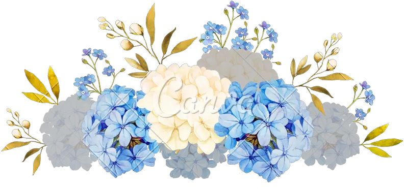 Blue Hydrangea Watercolor Blue Watercolor Flowers Free Png Hydrangea Png