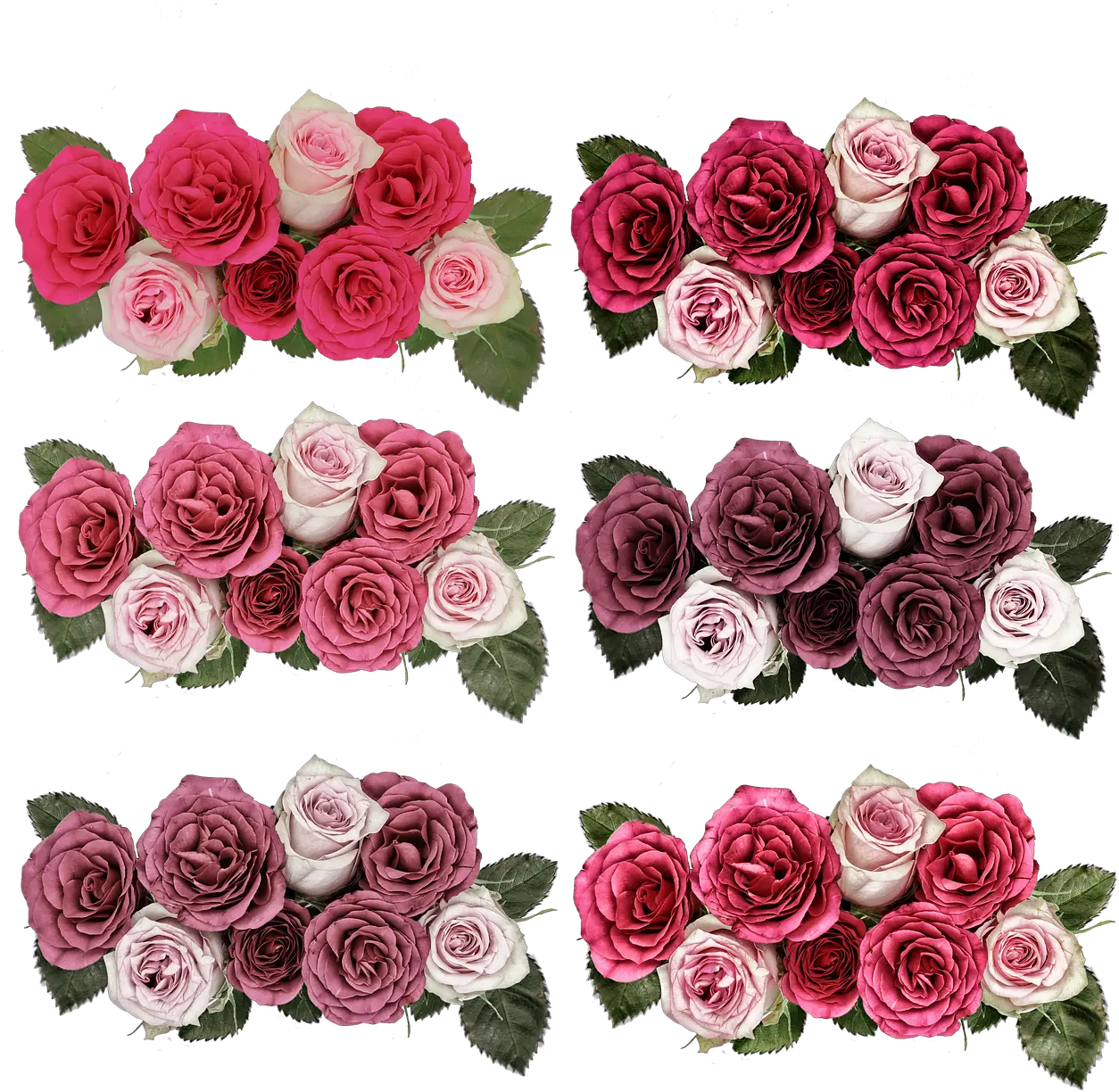 Download Hd Rosesflowersrose Png Jardim De Flores Portable Network Graphics Roses Png