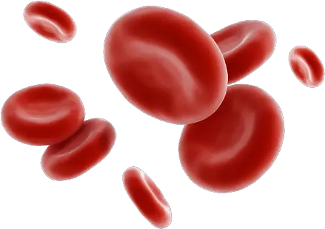 Red Blood Cells Png Picture Globule Rouge Sur Fond Blanc Cells Png
