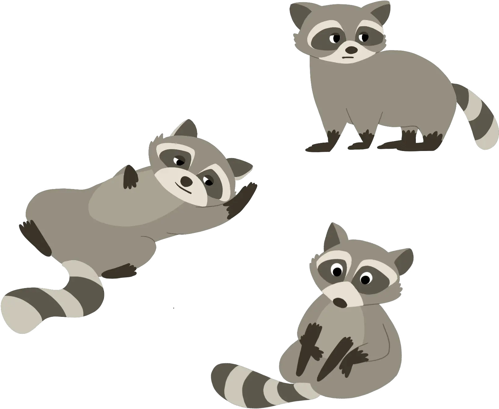 Fun Facts About Sfuu0027s Most Popular Animal The Raccoon Animal Figure Png Fun Fact Icon