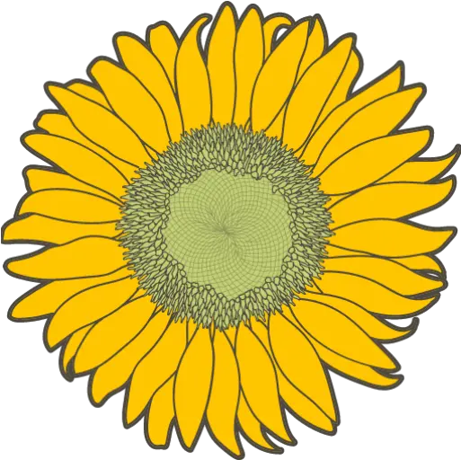 Cropped Faviconpng U2013 Girasol Fresh Girasol Png