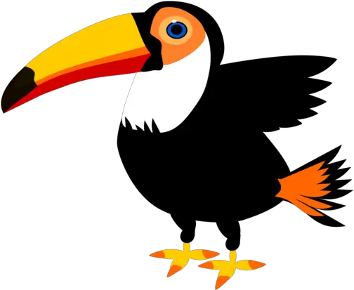 Hornbill Bird Toucan Png Clipart Clipart Toucan Png Toucan Png