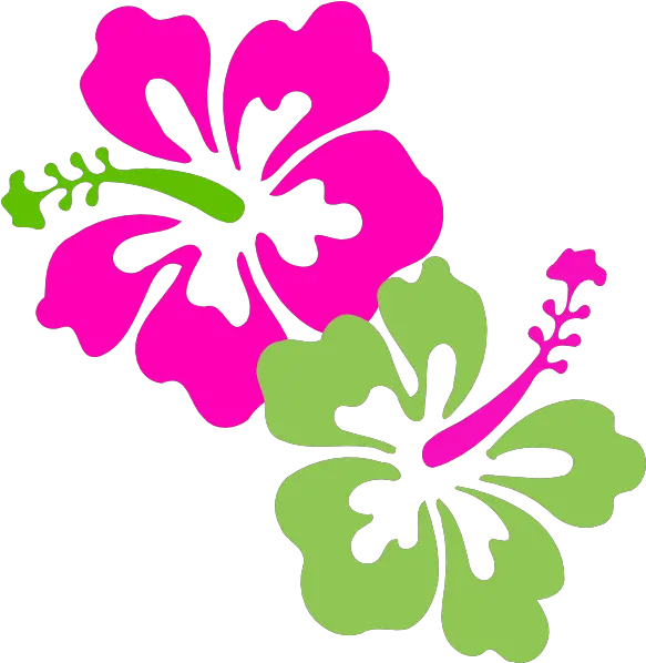 Download Hawaiian Flower Clipart Hawaiian Hibiscus Clip Art Png Flowers Clipart Transparent Background