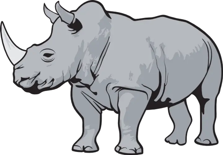 Rhino Clipart Png Rhino Clipart Rhino Png