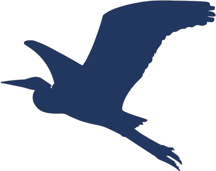 Bolton Landing Brewing Company Seabird Png Heron Icon