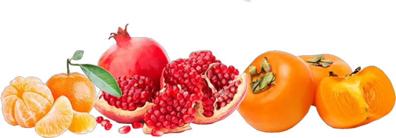 Adopt A Fruit Tree You Receive Fresh Fruit From Your Own Tree Home Remedies For Preventing Pregnancy Png Fruit Tree Png png